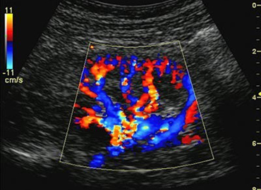 unicarediagnostic